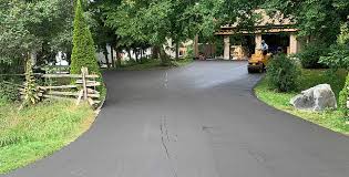 Best Driveway Pressure Washing  in Fremont, MI